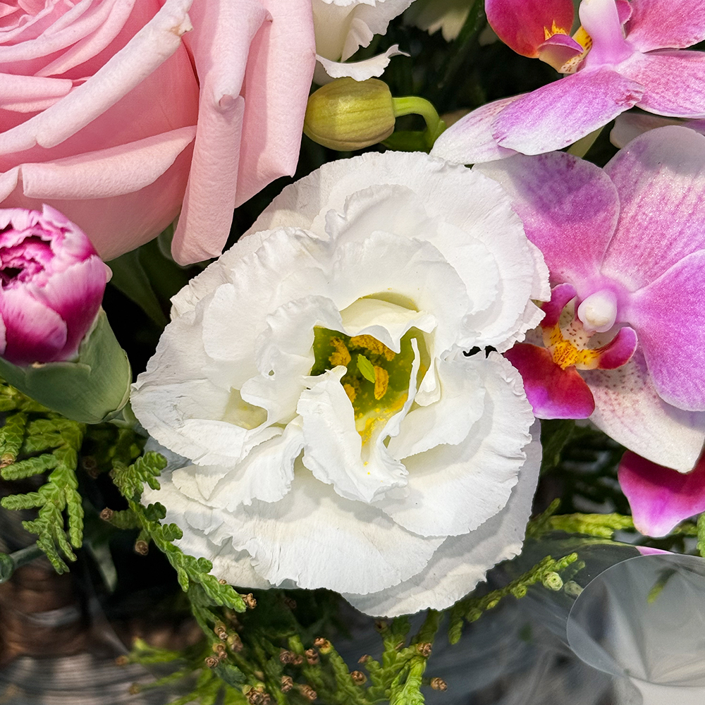 충북 충주 혼합 꽃바구니 플라워 생화 생일 기념일 발렌타인데이 축하 감사 인사 전국꽃배달