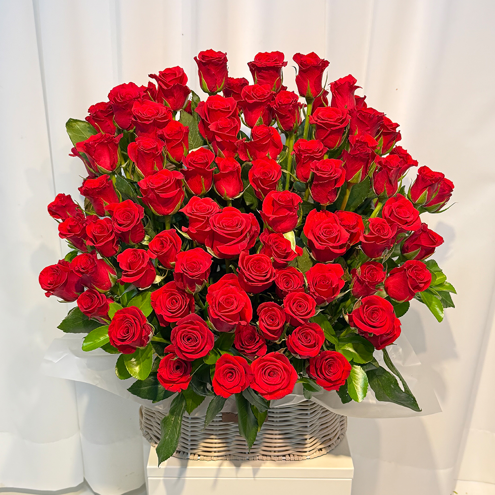 빨간 레드 장미100송이 프로포즈 이벤트 꽃바구니 전국 꽃배달서비스 꽃배송 로즈 생일 선물