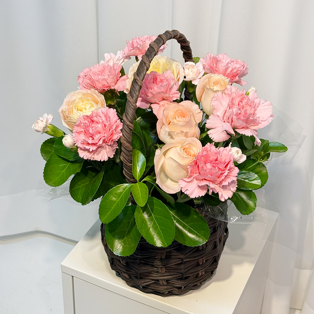 전북 남원 핑크 카네이션 꽃바구니 어버이날 스승의날 전국꽃배달 부모님 선물 생화 농장직영