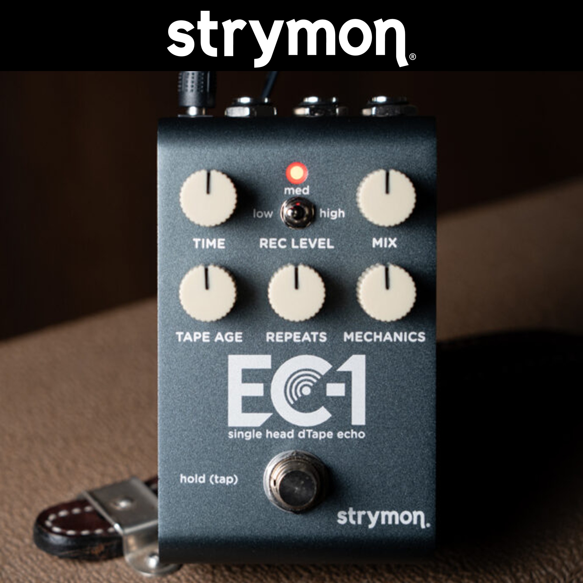 Strymon EC1 스트라이몬 싱글헤드 스테레오 테이프 에코 일렉기타 이펙터 이미지 6