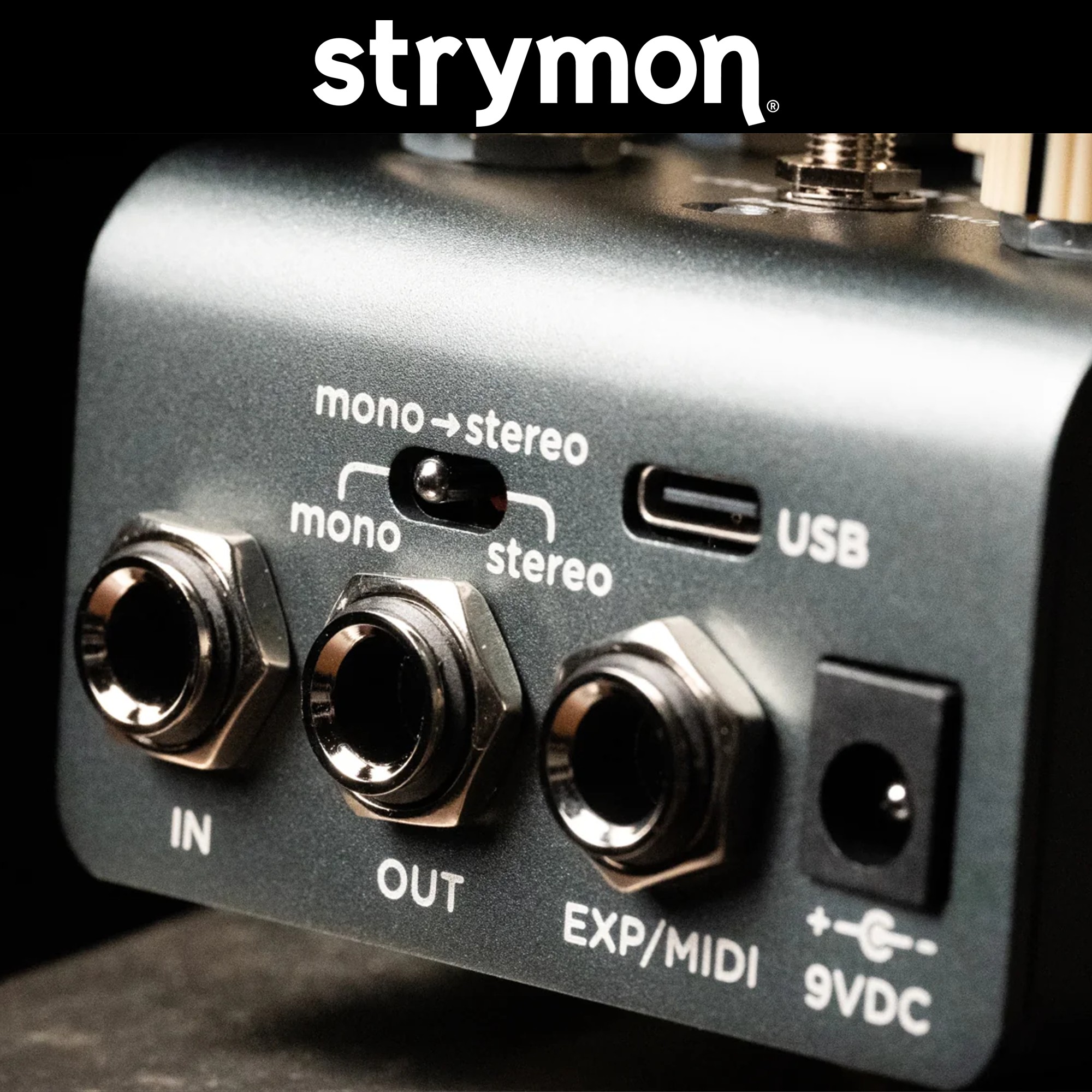 Strymon EC1 스트라이몬 싱글헤드 스테레오 테이프 에코 일렉기타 이펙터 이미지 8