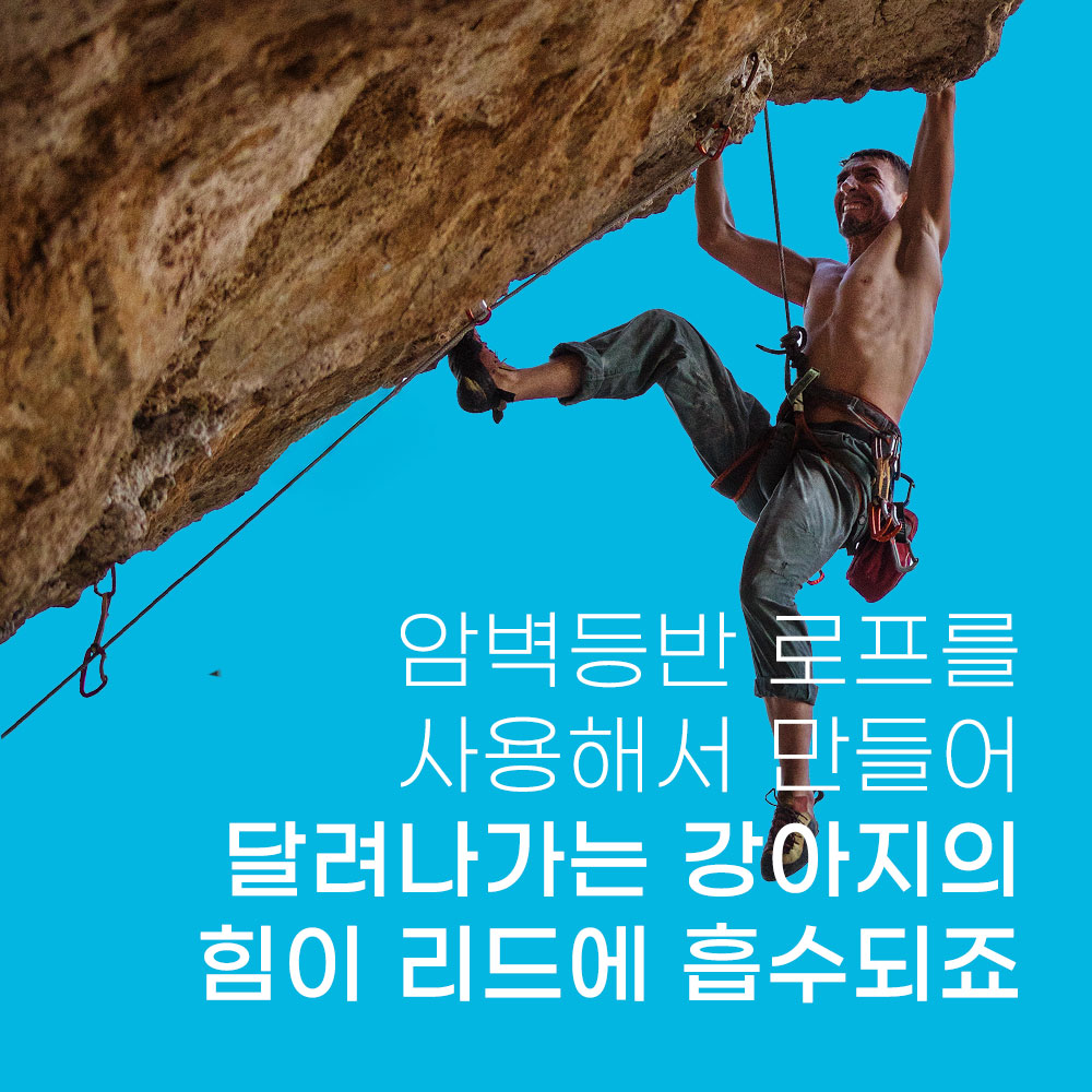 스위스 큘리 바리오 컴포트 핸즈프리 2m 리드줄 길이조절 스카이블루, FREE(One size)