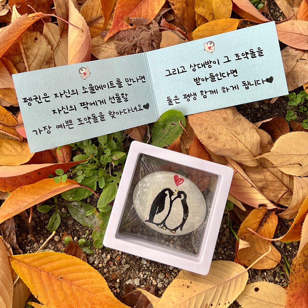 펭귄 조약돌 커플 편지 기념일 생일 선물 편지지 [남자 친구 여자 100일 이벤트 웃긴 - 상품 이미지