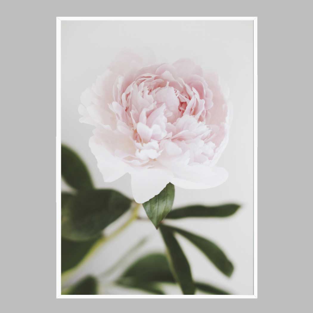 꽃 인테리어 액자 flower No2 A2 사이즈 가벼운 몰딩 대형 프레임 제작 웨딩 - 상품 이미지