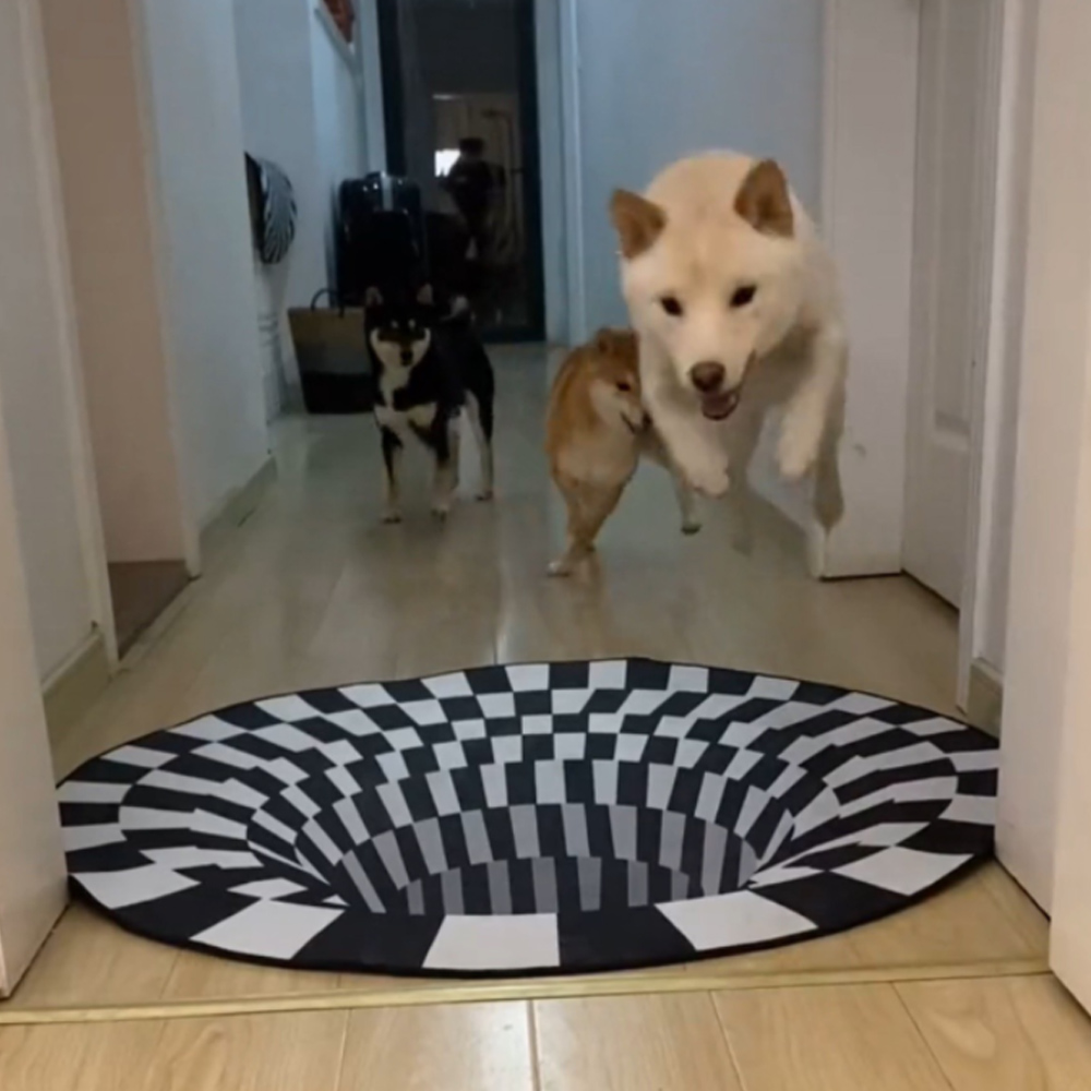 싱크홀 3D 입체 착시 매트 80 cm 반려 동물 낚시 놀이 DT 1316950 카페트