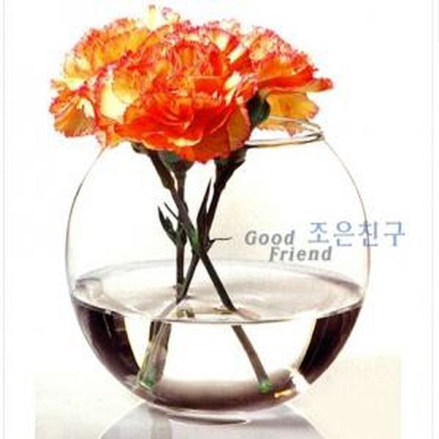 파사바체 어항 글라스 대 수족관 유리 꽃병 - 상품 이미지