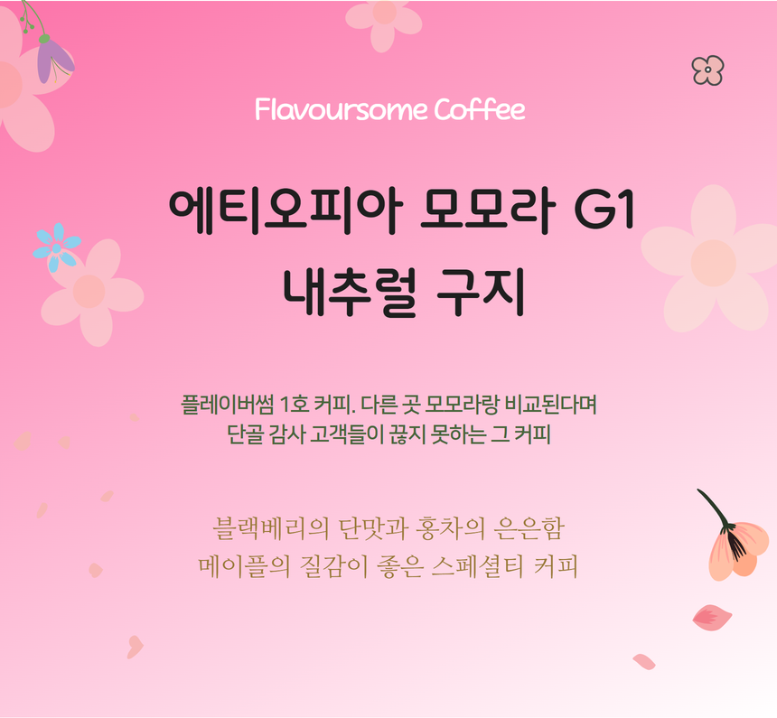 에티오피아 모모라 G1 내추럴 구지 - 상품 이미지