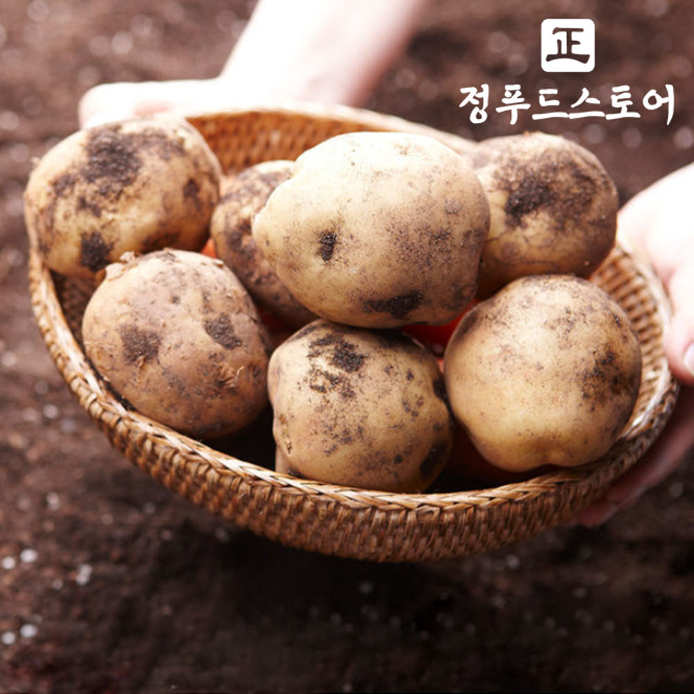 2026 햇 감자 포슬포슬 홍감자 조림 두백 수미감자 2kg 5kg 10kg : 정푸드스토어