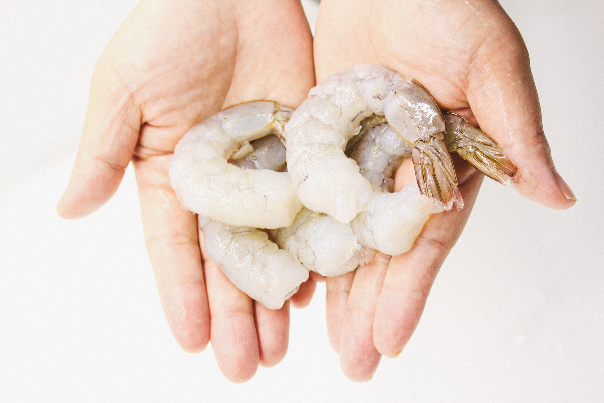 냉동 흰다리 대왕 생칵테일새우 900g 왕특대 특대 대 중 소 감바스 버터구이 요리용