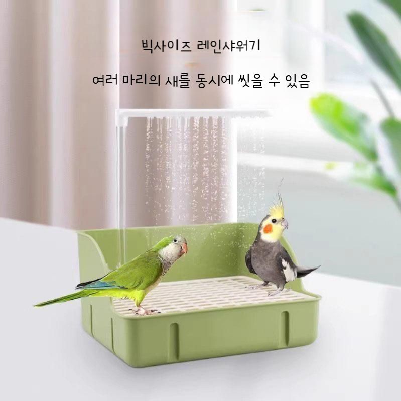 앵무새 목욕통 물놀이 욕조 샤워 부스 자동 레인 샤워 박스 그린 - 상세 이미지 4