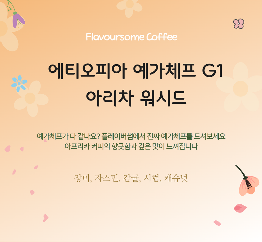 에티오피아 예가체프 G1 아리차 워시드 - 메인 이미지