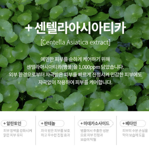 thumbnail-7