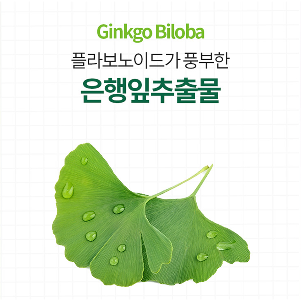 혈액순환 은행잎추출물 징코빌로바 플라보놀배당체 2박스 2달분 - 상세 이미지 3