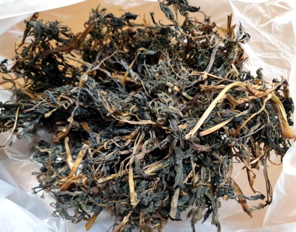 25년 강원도 인제 눈개승마 삼나물 산나물 건눈개승마 건나물 - 상품 이미지