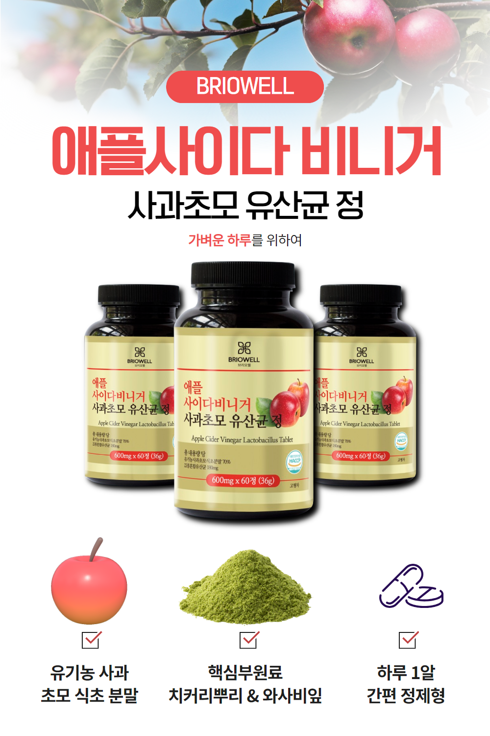 애플사이다비니거 2개월분 알약형 비네거 사과초모식초 애사비 600mg X 60정 브리오웰 1통 - 상세 이미지 2