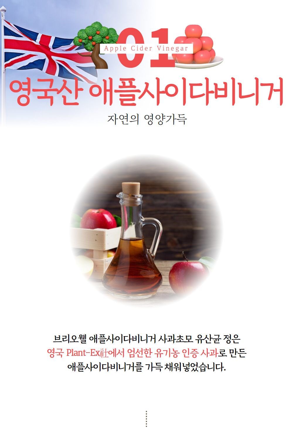 애플사이다비니거 2개월분 알약형 비네거 사과초모식초 애사비 600mg X 60정 브리오웰 1통 이미지 6