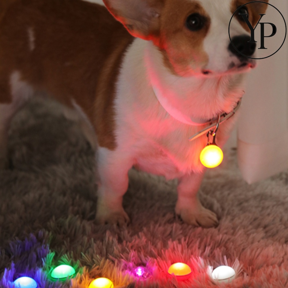 애견 산책 LED 목걸이 불빛 완견 강아지 고양이 야간 야광 형광 반사 안전