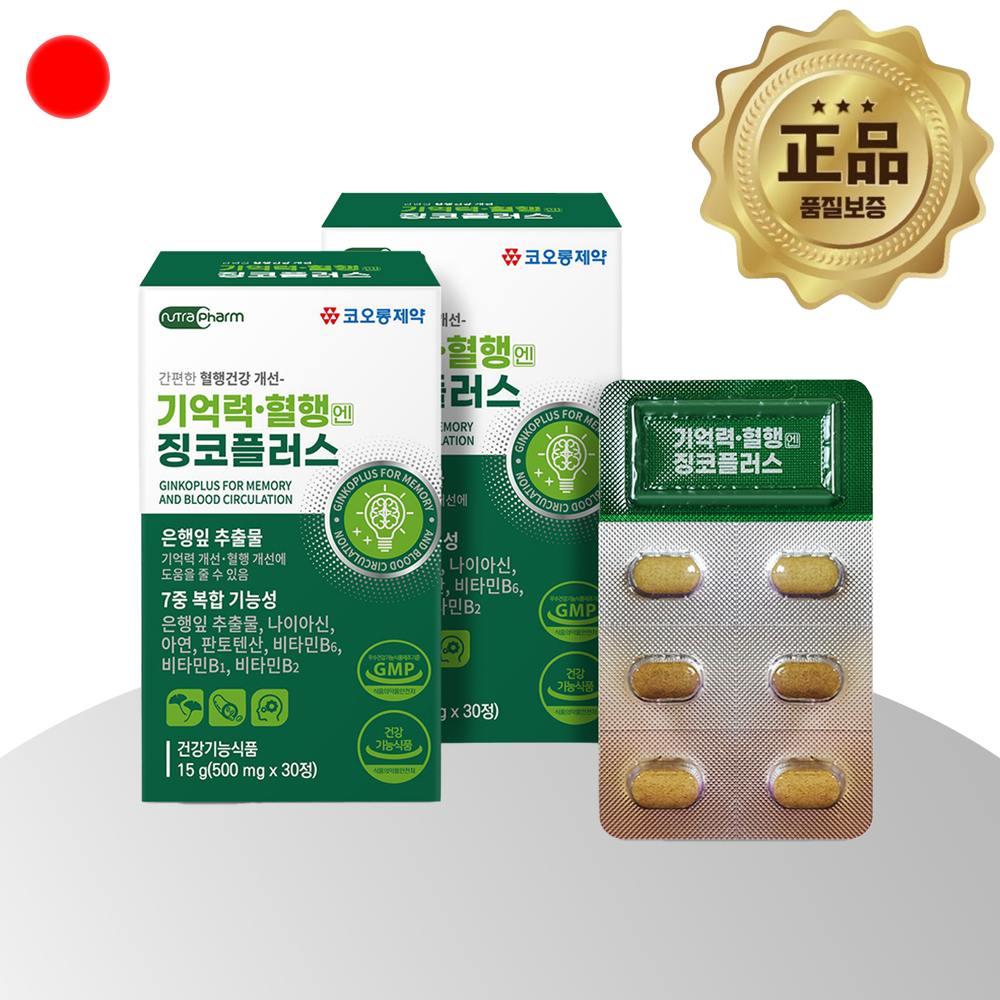 혈액순환 은행잎추출물 징코빌로바 플라보놀배당체 2박스 2달분 - 상품 이미지