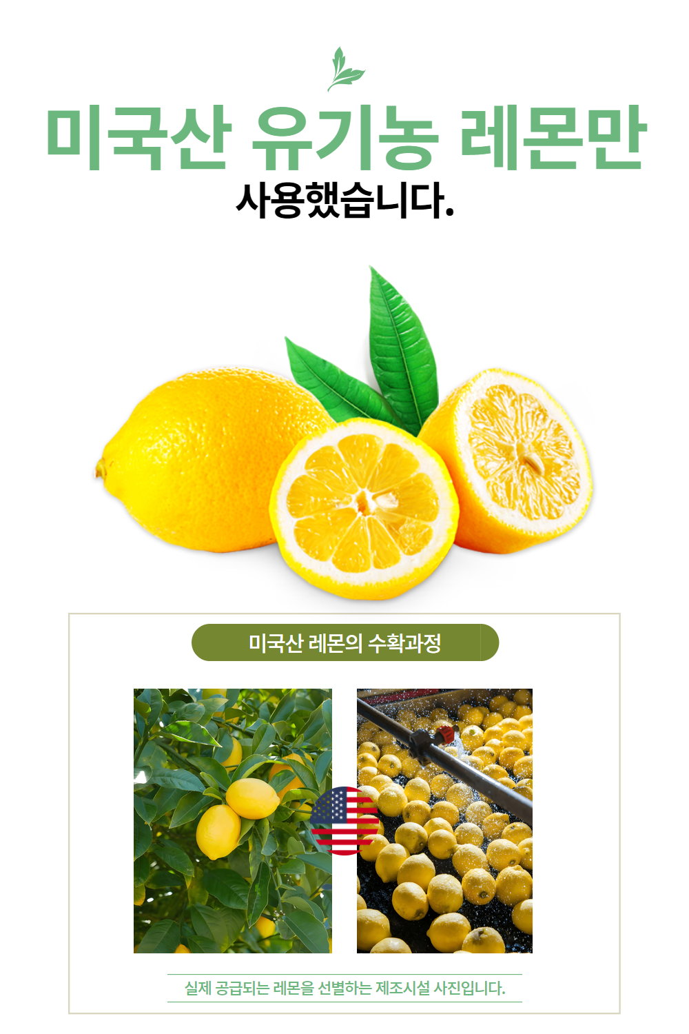 레몬즙 비타민C 정 레몬액 분말 착즙 과즙 브리오웰 60정, 6개 이미지 8