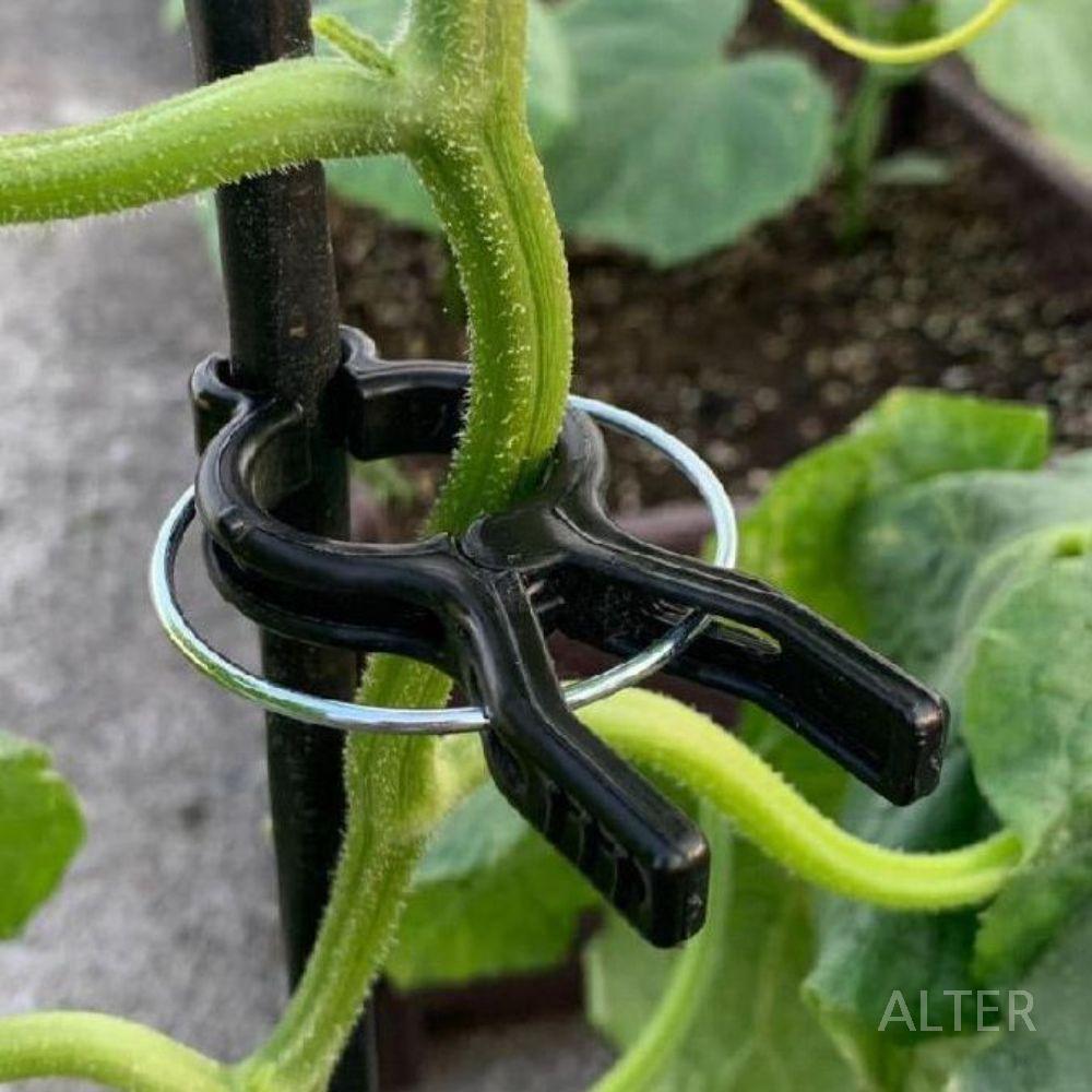 포도 유인 집게 작물 토마토 클립 결속기 11mm 10개+지지대 90cm 5개 - 상세 이미지 4