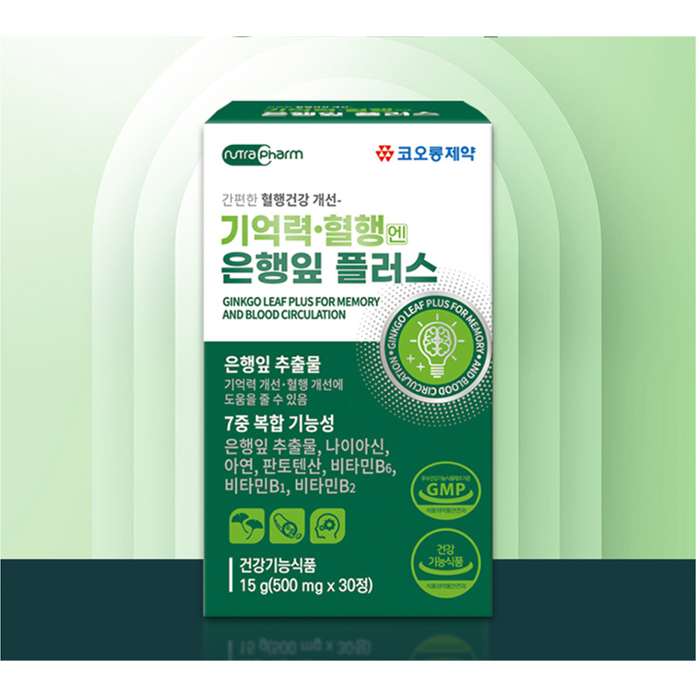 혈액순환 은행잎추출물 징코빌로바 플라보놀배당체 2박스 2달분 - 상세 이미지 4