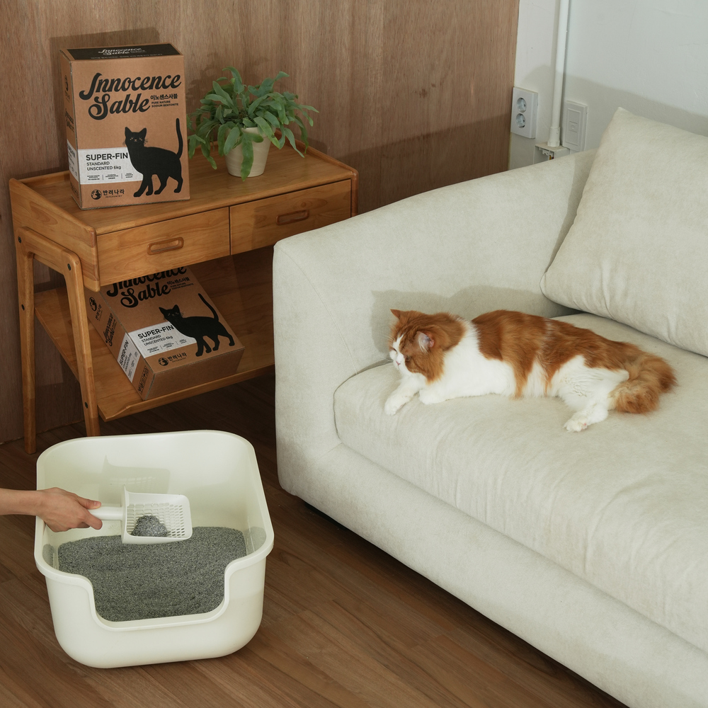 반려나라 이노센스사블 먼지없는 고양이모래 벤토나이트 스탠다드 언씬티드 18kg