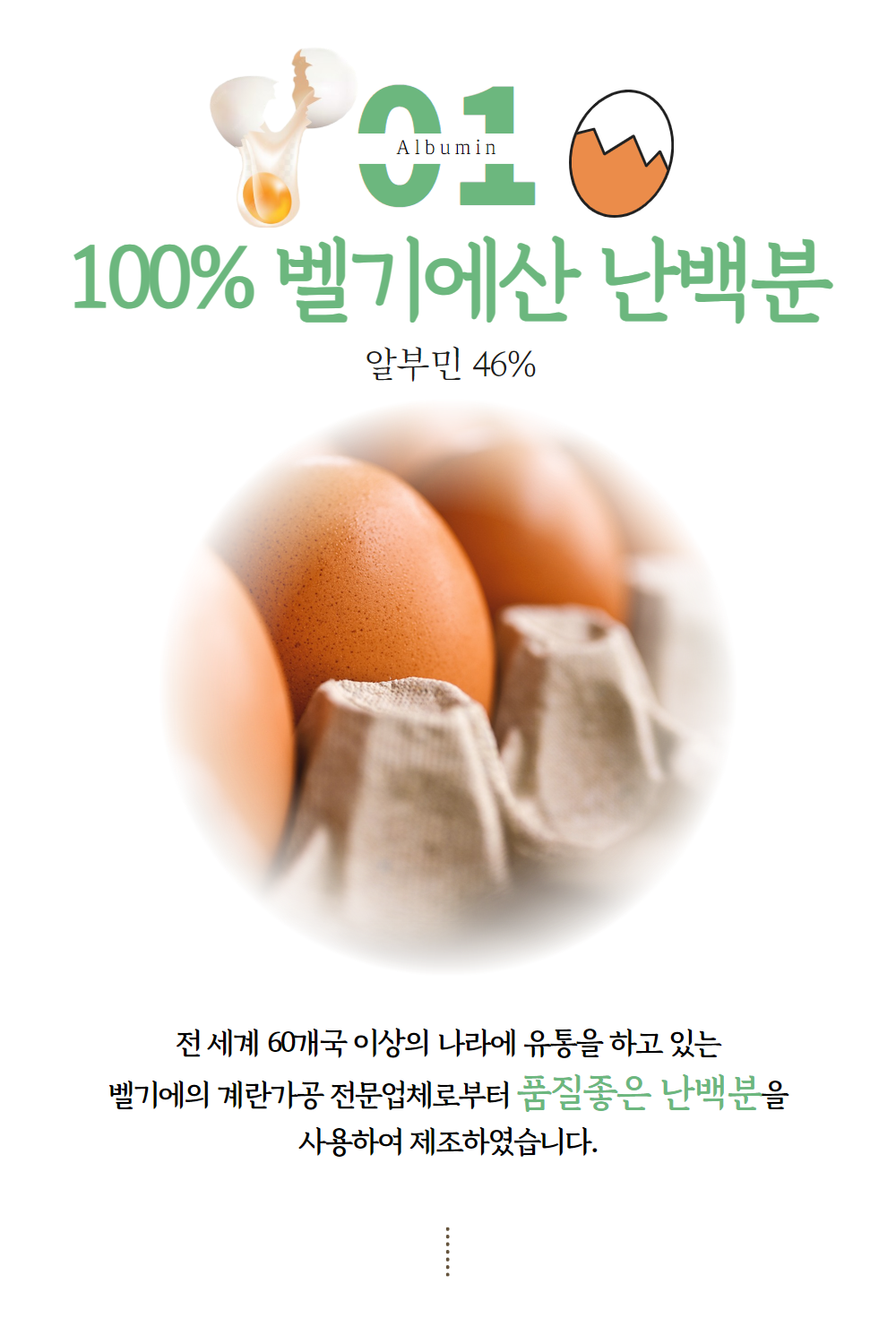 알부민 먹는 효능 효과 난백분 정 600mg 120정 4개월분 브리오웰 이미지 7