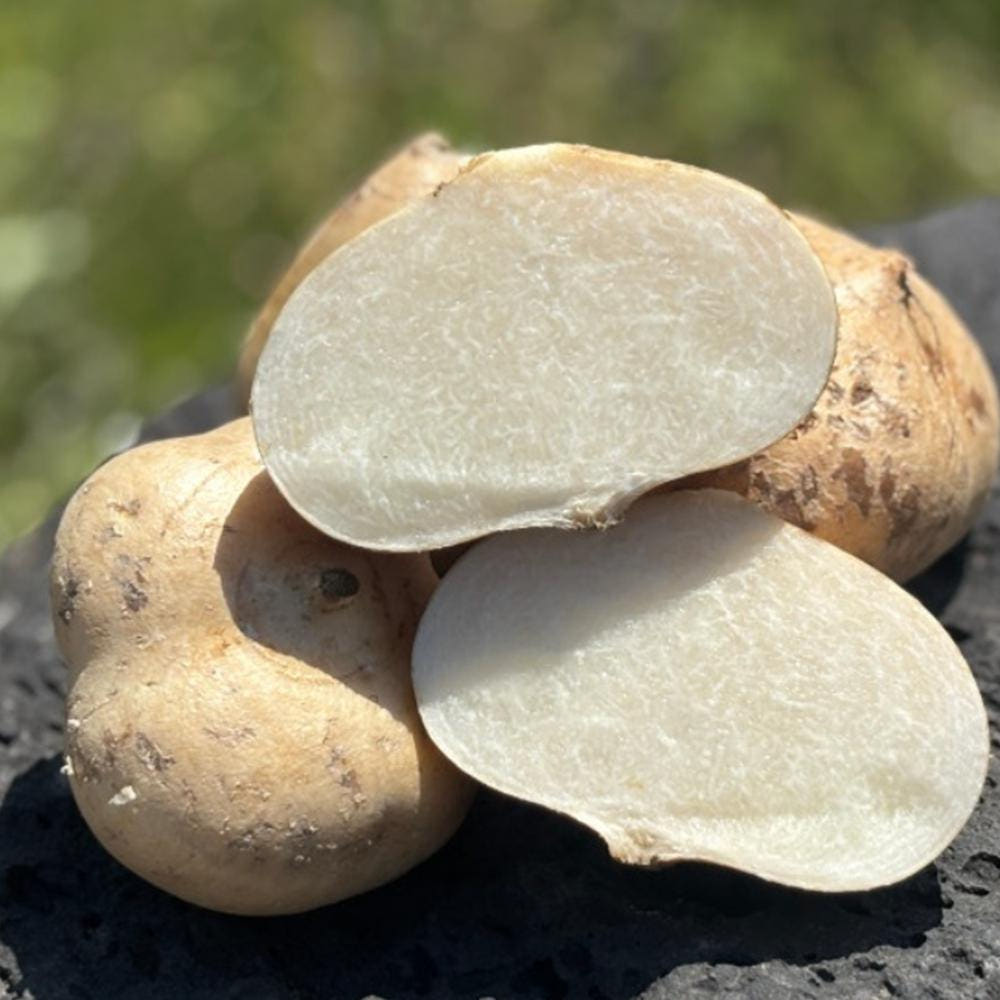 슈퍼푸드 하카마 3kg