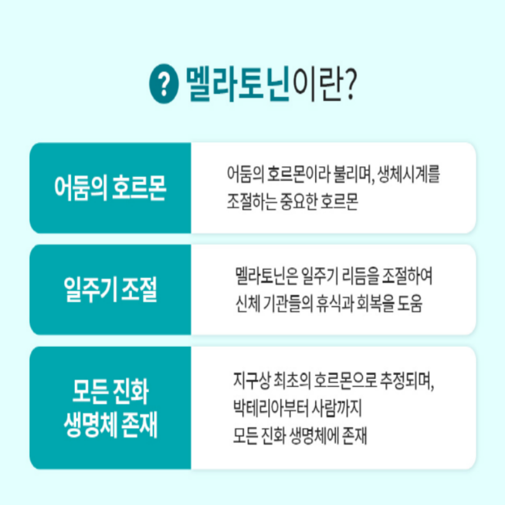 엔젯오리진 식물성 멜라토닌 메라토닌 트립토판 테아닌 5mg 작은알정제 - 상세 이미지 5