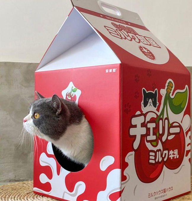 그램도그 고양이 우유팩 하우스 스크래쳐 박스 숨숨집 이미지 7