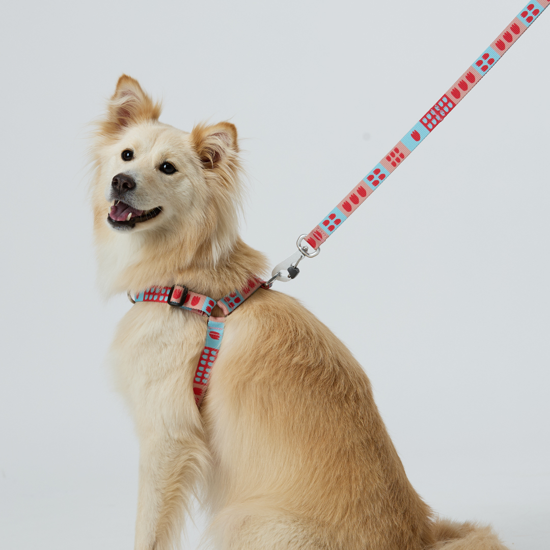 일로 하네스 (L형) 강아지 반려견 소형견 중형견 가슴줄 피버, M