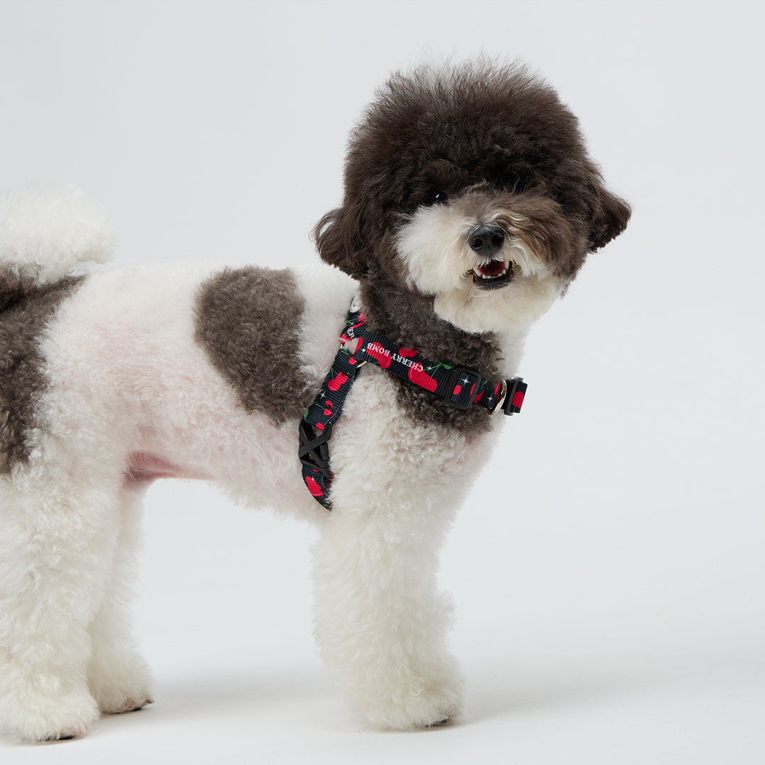 일로 하네스 (L형) 강아지 반려견 소형견 중형견 가슴줄 체리붐, M