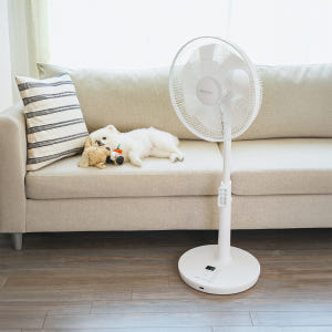 비티일렉스 브리즈7 BLDC 선풍기 초미풍 무소음 개봉기 | 실사용 후기 - 상품 이미지 4