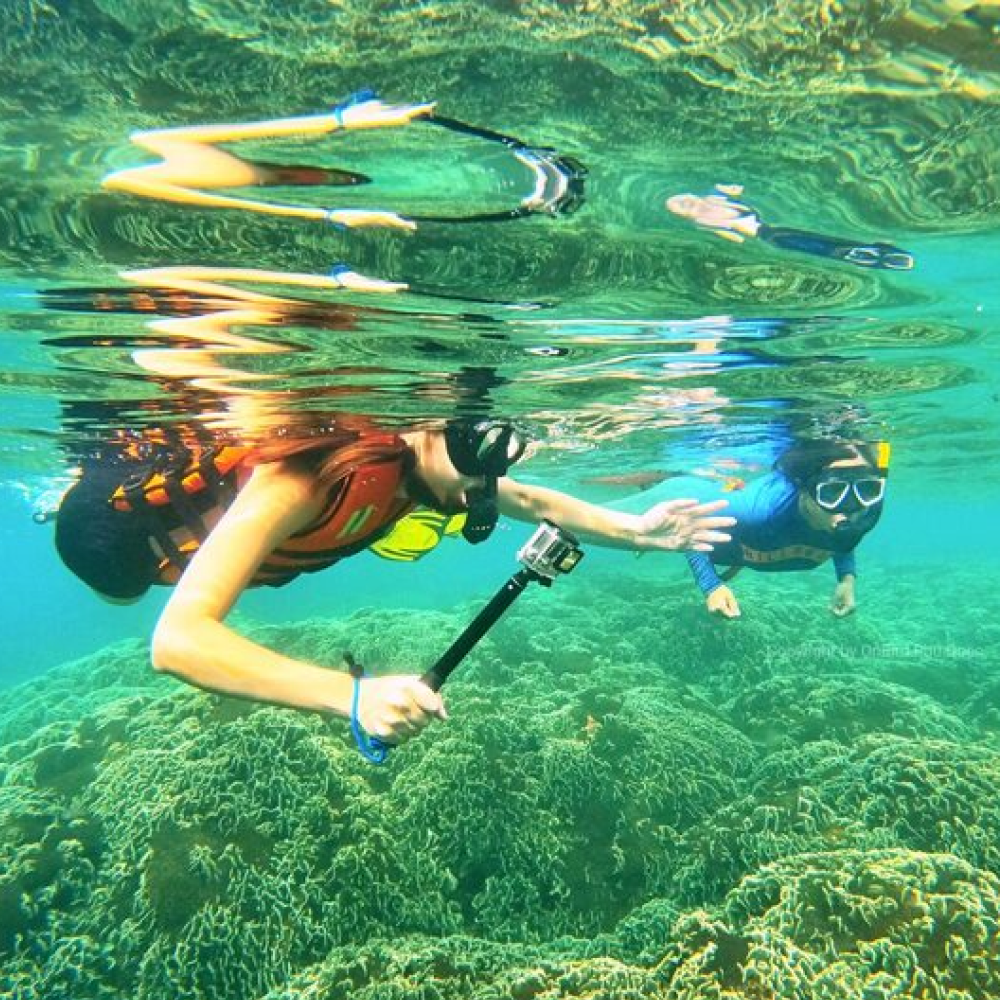 [소규모 스노클링] 푸꾸옥 온버드 프리미엄 스노쿨링 호핑투어 프리다이빙 예약센터