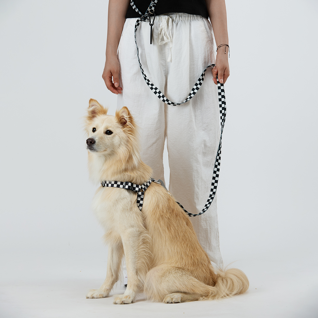 일로 하네스 (L형) 강아지 반려견 소형견 중형견 가슴줄 텐텐 블랙, M