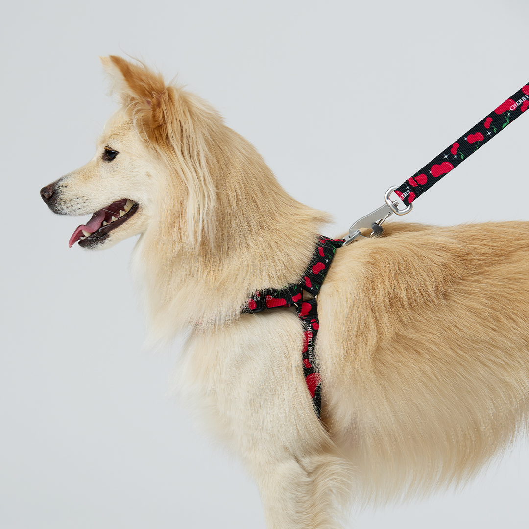 일로 하네스 (L형) 강아지 반려견 소형견 중형견 가슴줄 체리붐, M