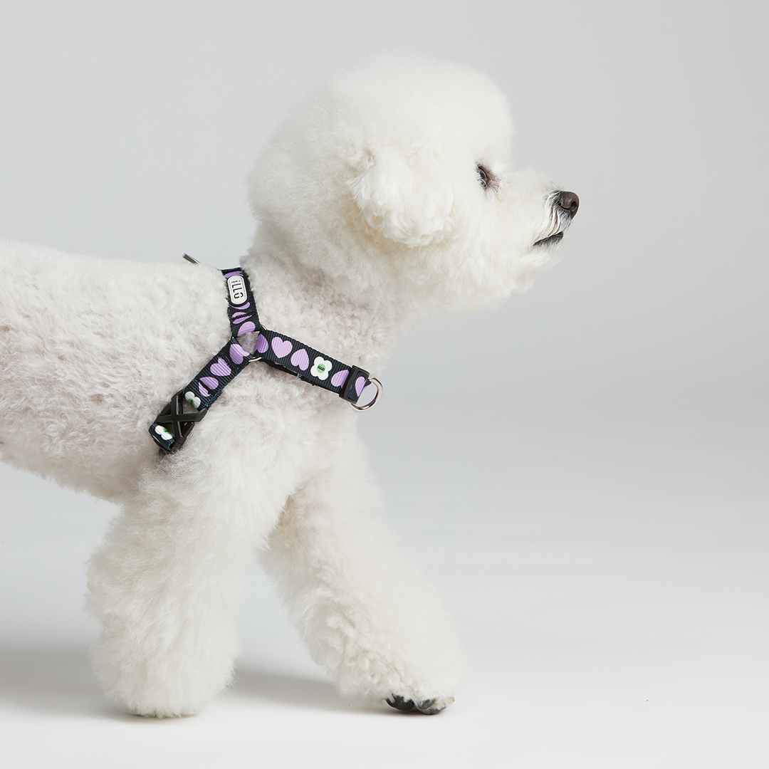 일로 하네스 (L형) 강아지 반려견 소형견 중형견 가슴줄 럽미, M