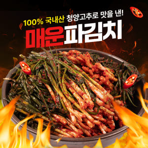 선김치 국산 전라도 맛있게 매운 청양 실비 파 김치 1kg 맛있게 먹은 솔직 후기 - 상품 이미지 3