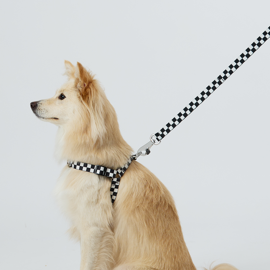 일로 하네스 (L형) 강아지 반려견 소형견 중형견 가슴줄 텐텐 블랙, M