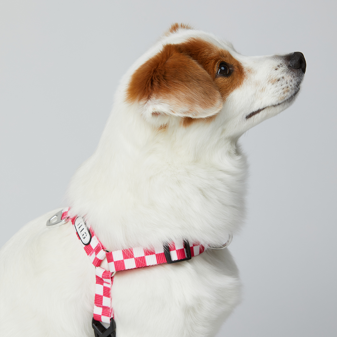 일로 하네스 (L형) 강아지 반려견 소형견 중형견 가슴줄 텐텐 핑크, S