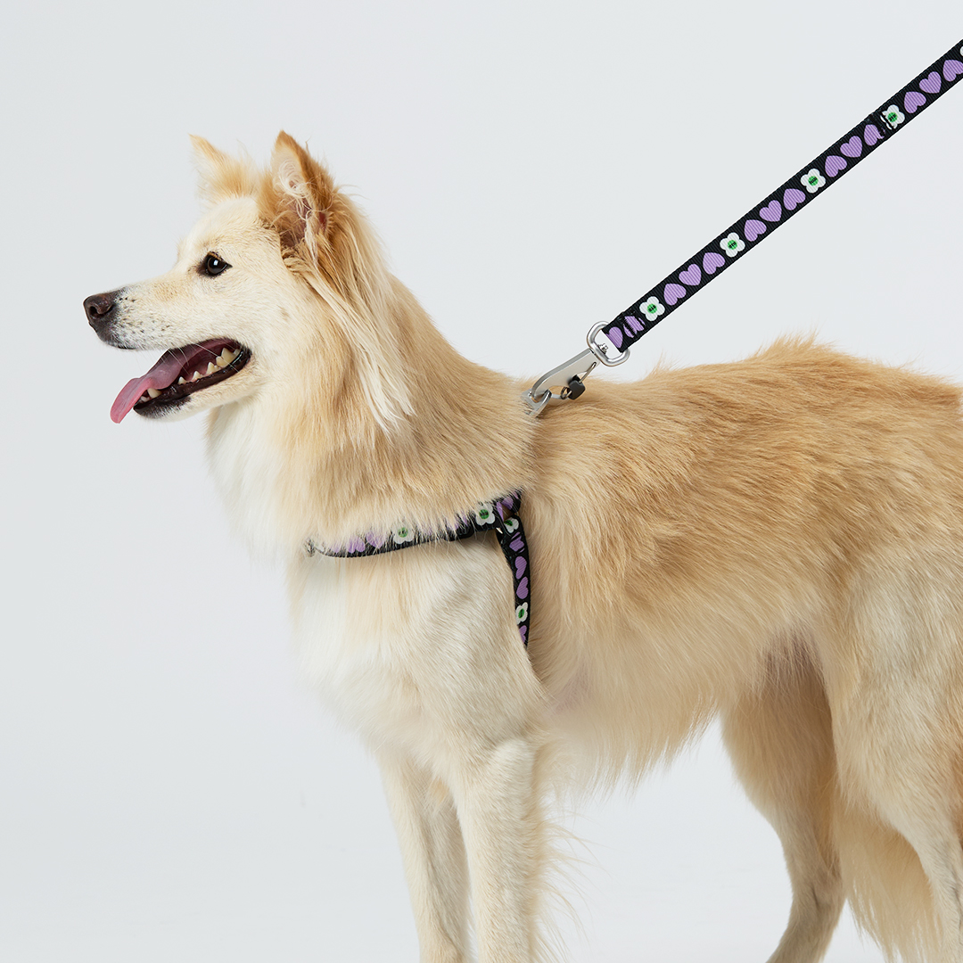 일로 하네스 (L형) 강아지 반려견 소형견 중형견 가슴줄 럽미, M