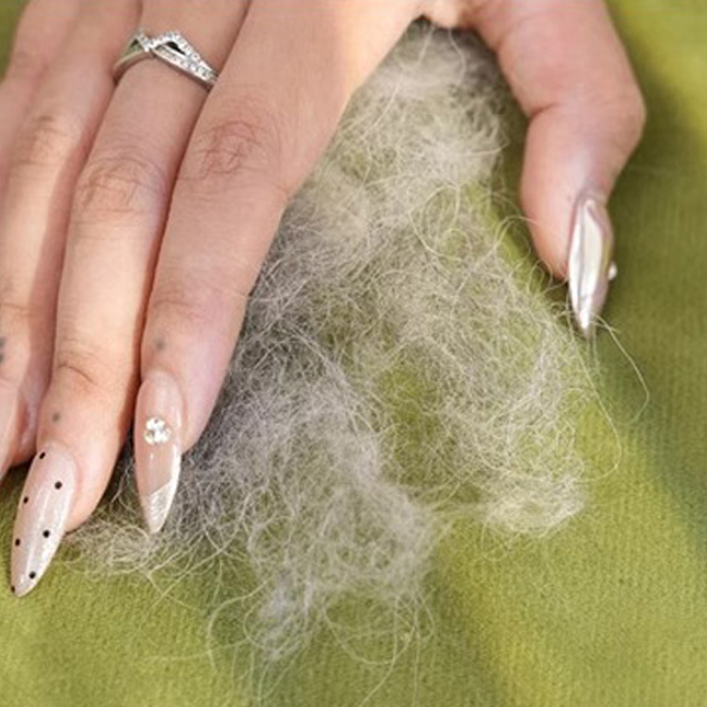 개과천선 블리스터 강아지 방석 애견방석 침대 반려견 쿠션 대형 강아지 쇼파