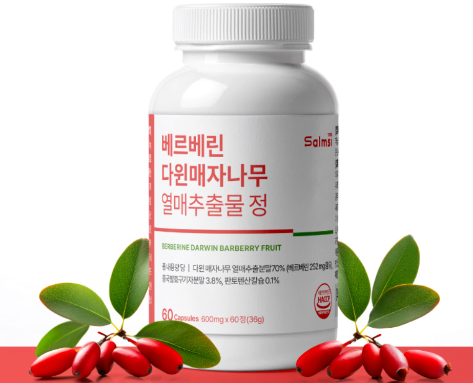 베르베린정 알파 공복 내돈내산 60정 이미지 6