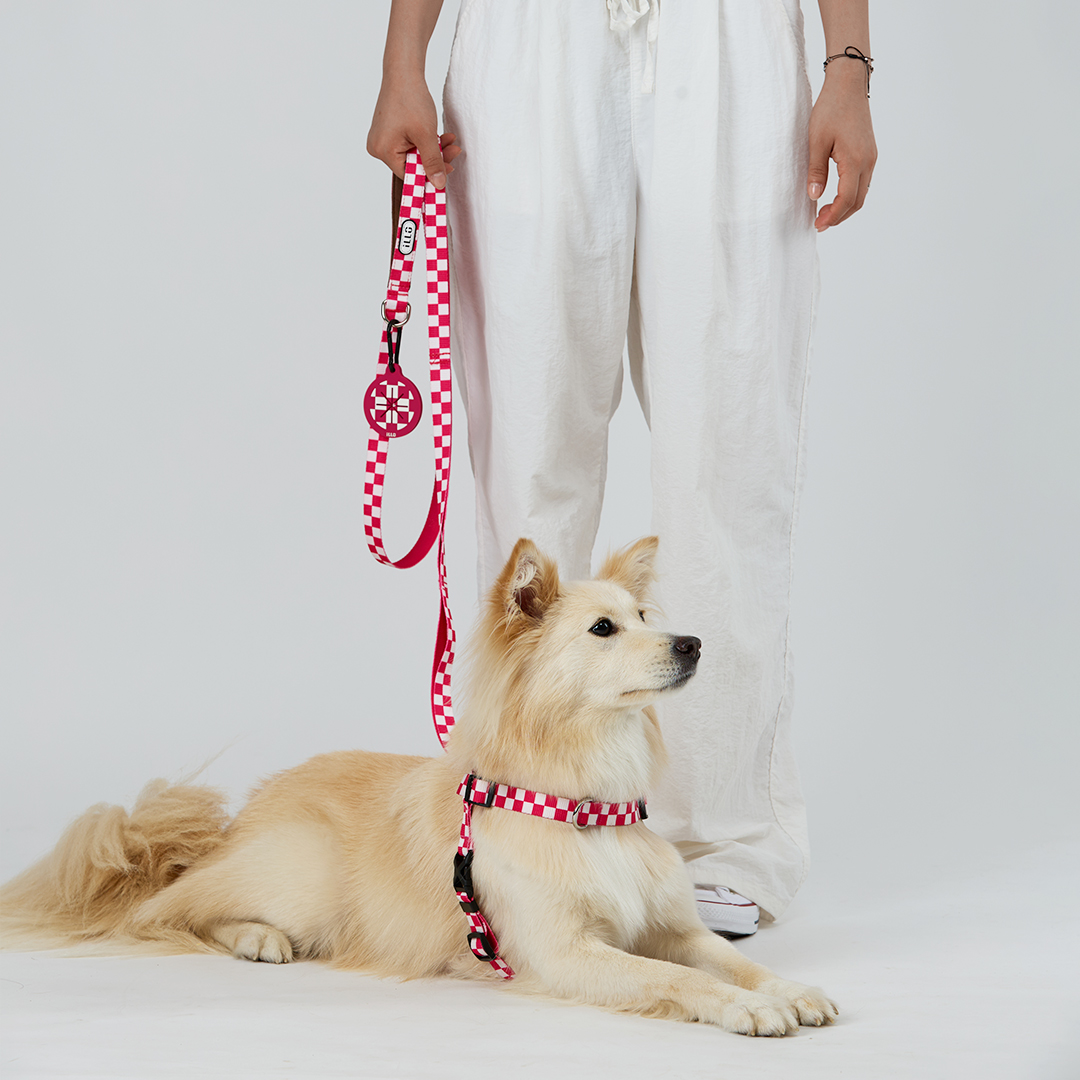 일로 하네스 (L형) 강아지 반려견 소형견 중형견 가슴줄 텐텐 핑크, S