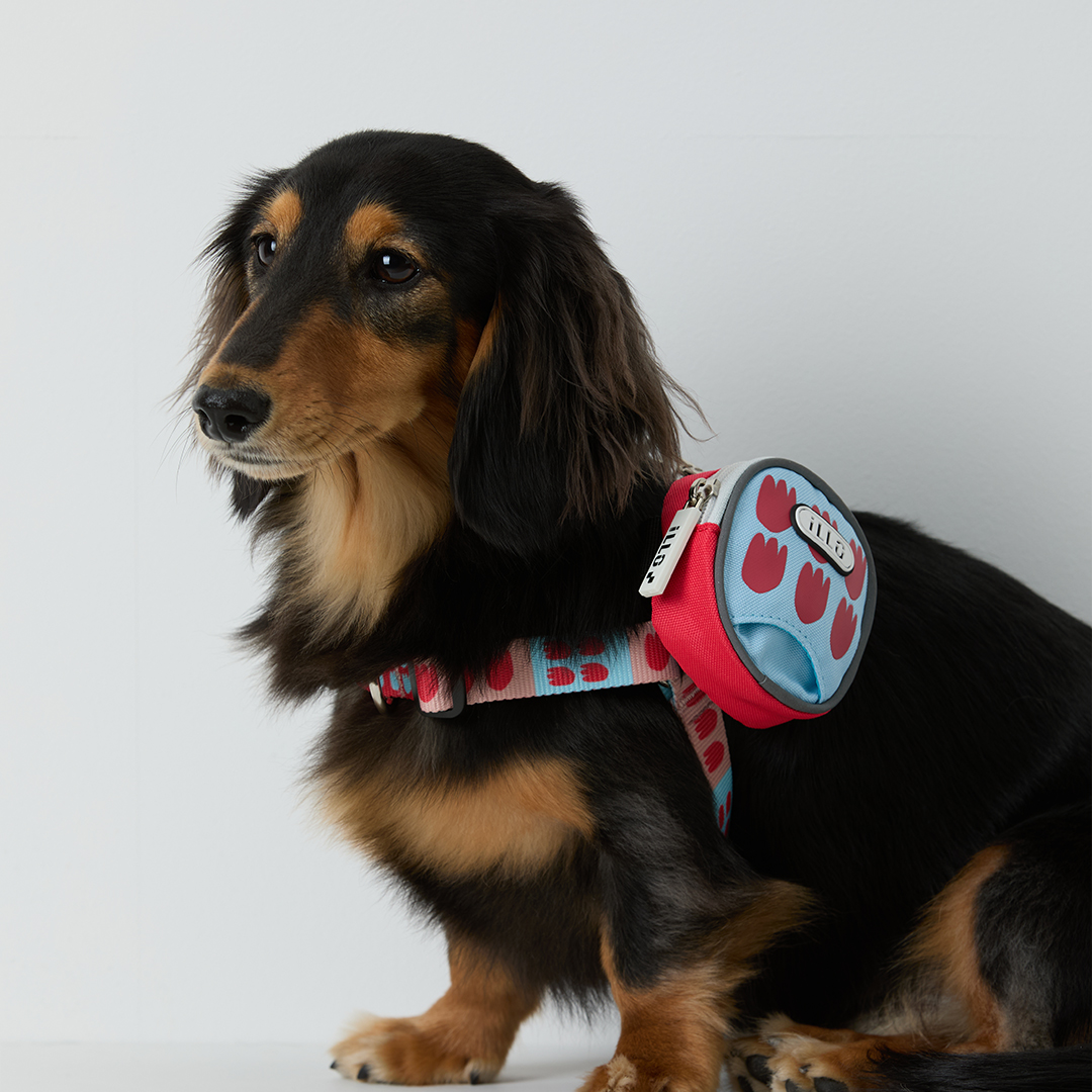 일로 하네스 (L형) 강아지 반려견 소형견 중형견 가슴줄 피버, M