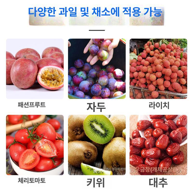 과일 선별기 자두 대추 방울토마토 감 귤 분류기 9단 일반형 - 상세 이미지 3