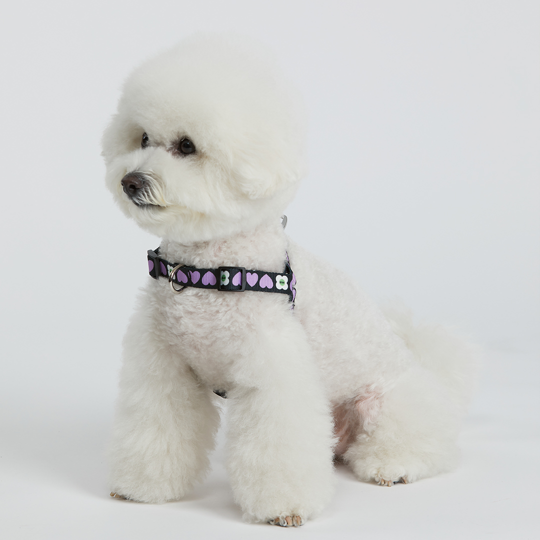 일로 하네스 (L형) 강아지 반려견 소형견 중형견 가슴줄 럽미, M