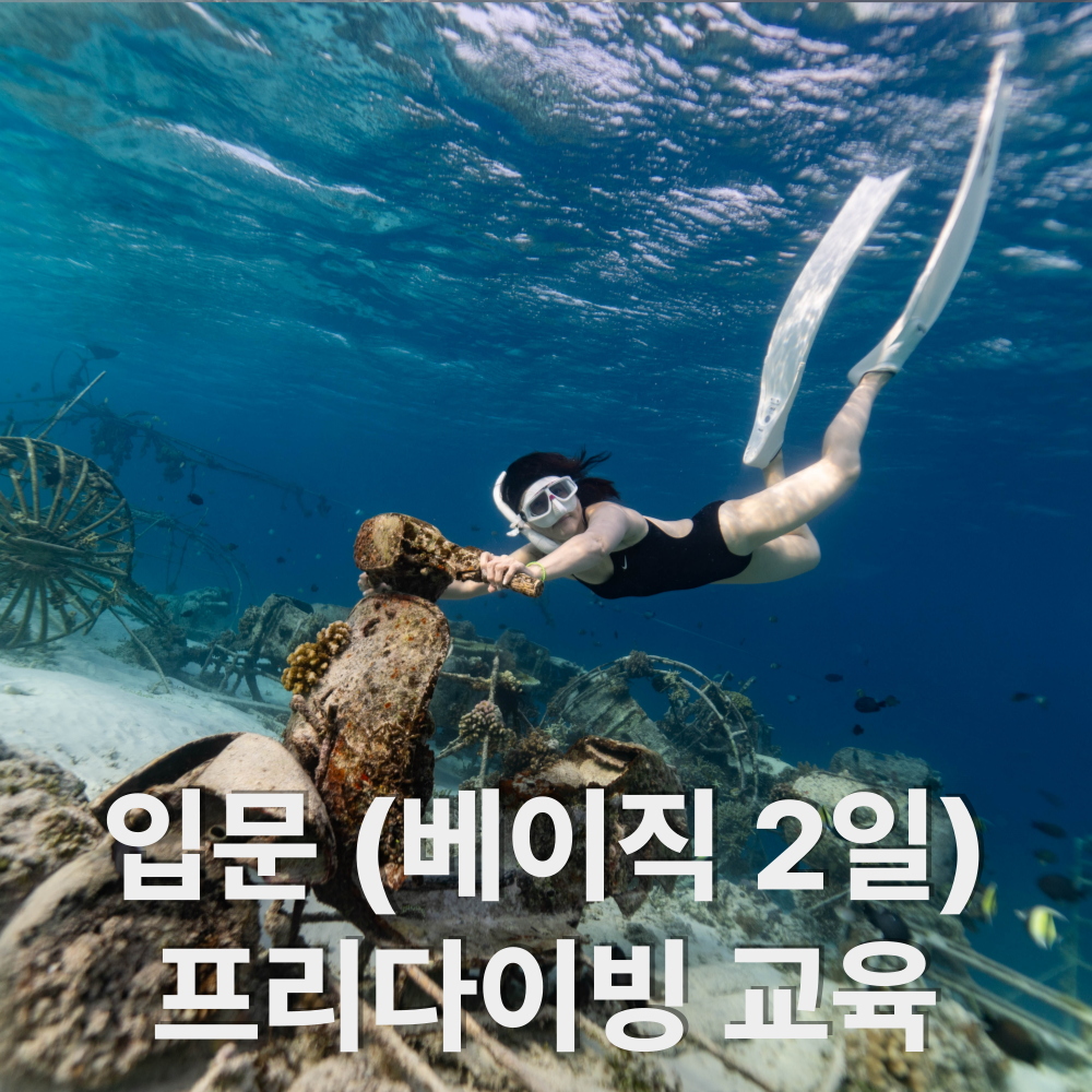 프리다이빙 강습 입문 교육 전국 수영 PADI AIDA 이색취미 레포츠 동호회 30대 상품 이미지