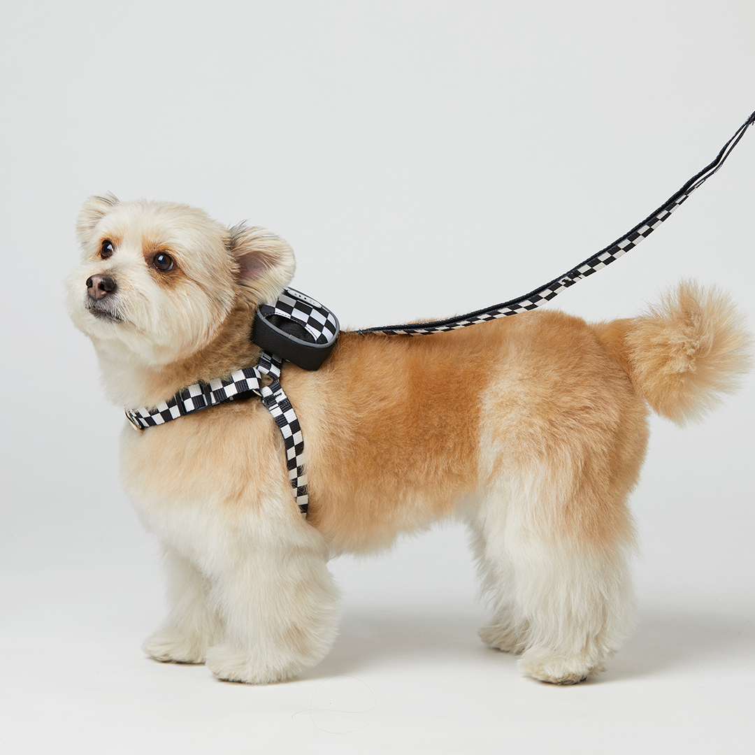 일로 하네스 (L형) 강아지 반려견 소형견 중형견 가슴줄 텐텐 블랙, M