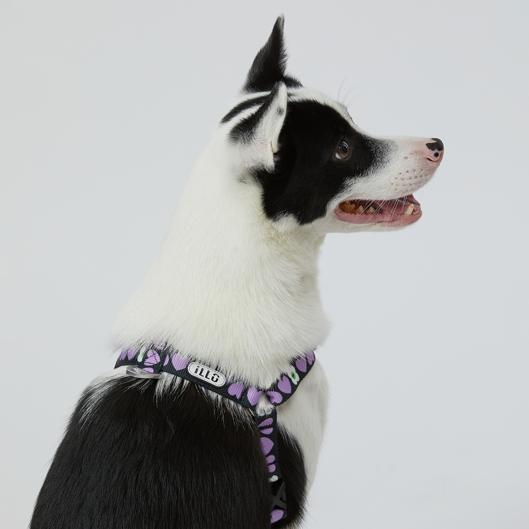 일로 하네스 (L형) 강아지 반려견 소형견 중형견 가슴줄 럽미, M